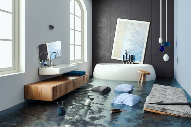 Best Ceiling water damage repair  in Galena Park, TX
