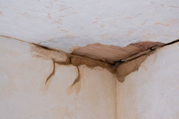 Trusted TX Water damage restoration Experts