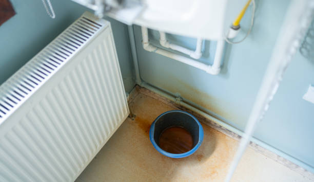 Best Water damage restoration near me  in Galena Park, TX