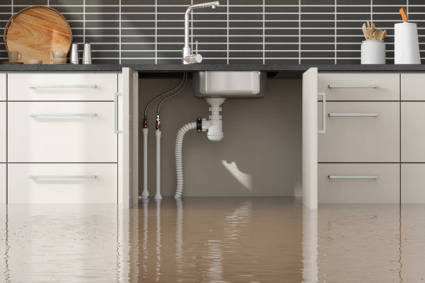 Best Fire Damage Restoration  in Galena Park, TX